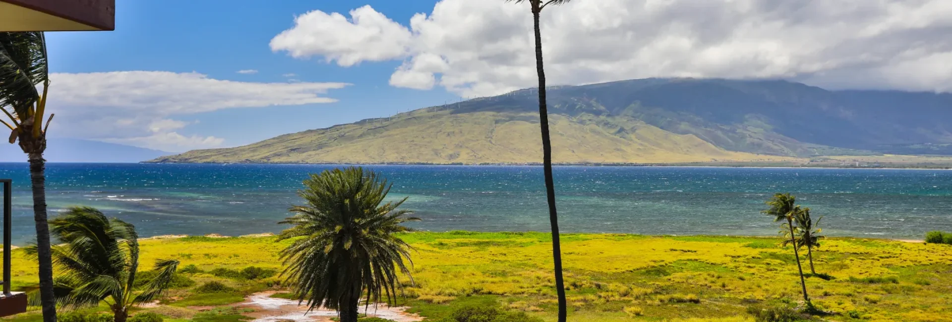Newly updated Kauhale Makai 610 1 bedroom top floor